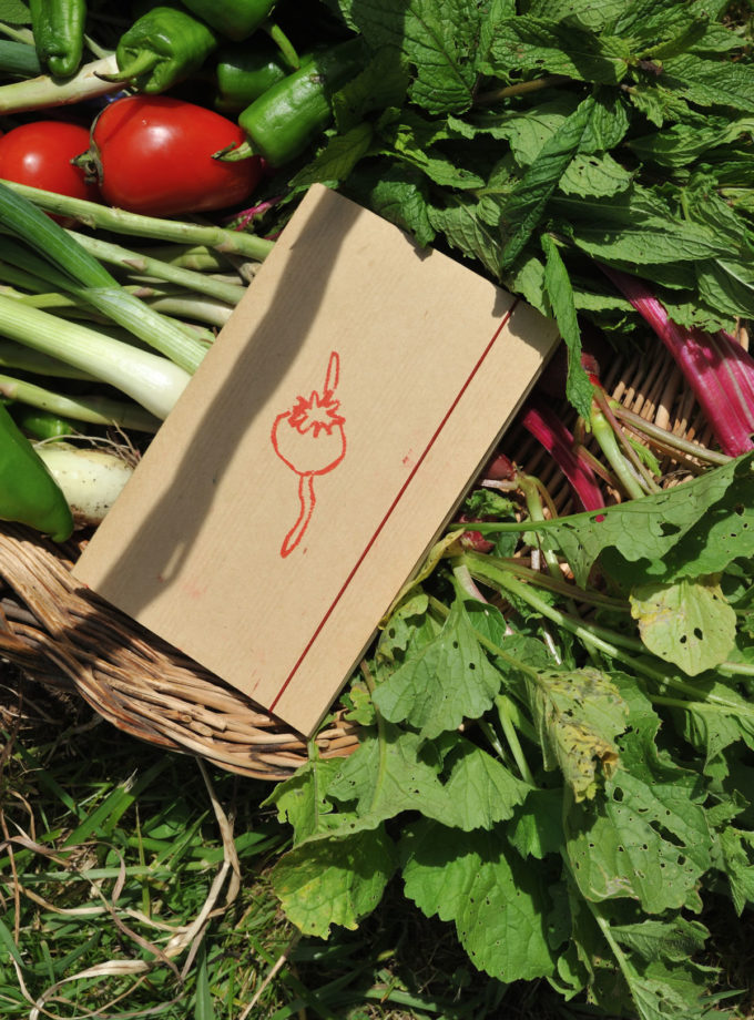 Graine - Collaboration La Compagnie du Kraft - Carnet Les Graines naturel