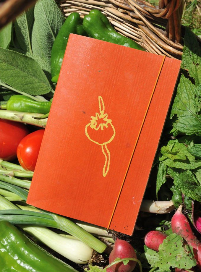 Graine - Collaboration La Compagnie du Kraft - Carnet Les Graines orange