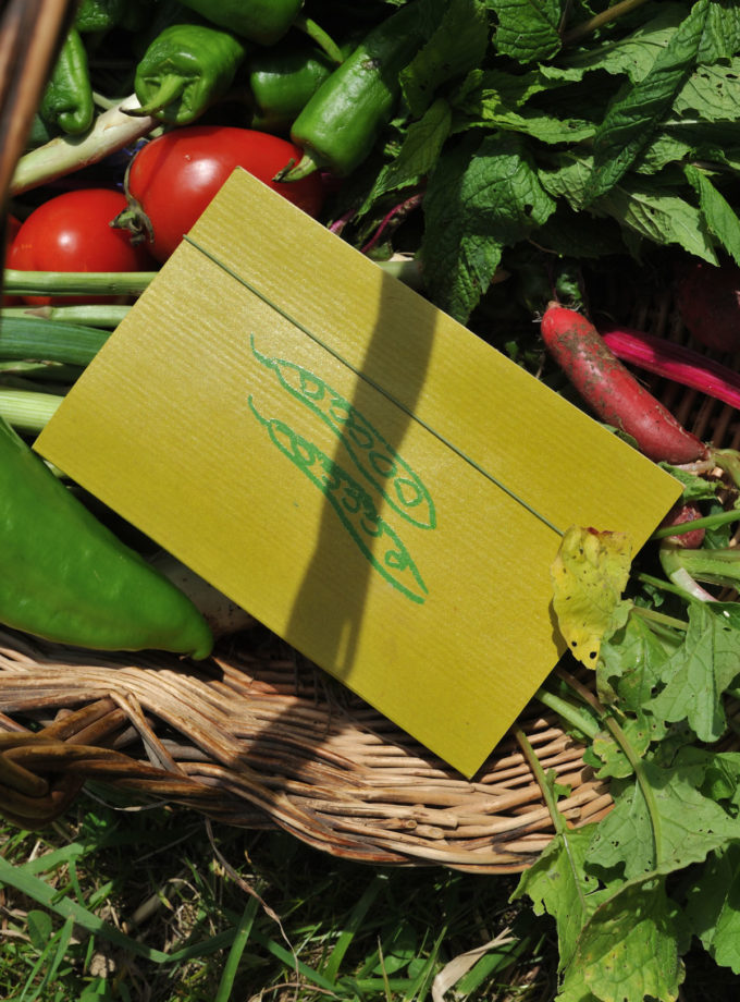 Graine - Collaboration La Compagnie du Kraft - Carnet Les Graines vert