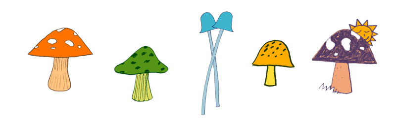 Graine Lexique Matieres Dessins Champignons 1