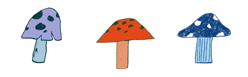 Graine Lexique Matieres Dessins Champignons 2