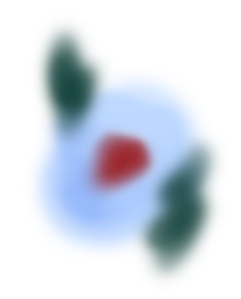 Graine Solstice Julie Sergent Hibiscus 2